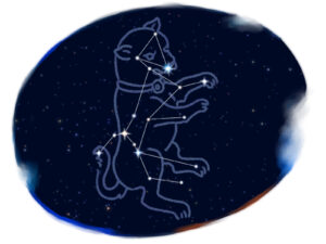 おおいぬ座　シリウス シリウス訪問治療所